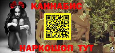 спайс Кингисепп