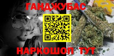 спайс Кингисепп