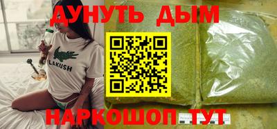 спайс Кингисепп