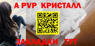 спайс Кингисепп