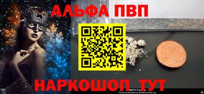 спайс Кингисепп