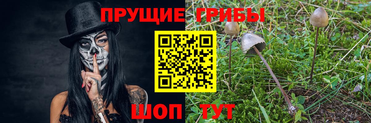 Керчь  Псилоцибиновые грибы Psilocybe  Вход с VPN 